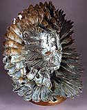 'Silver Leaf' - abstract ceramic sculpture